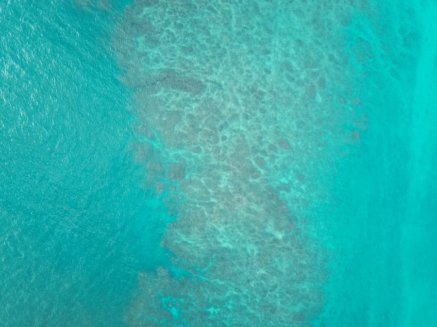 Photo Caribbean Sea