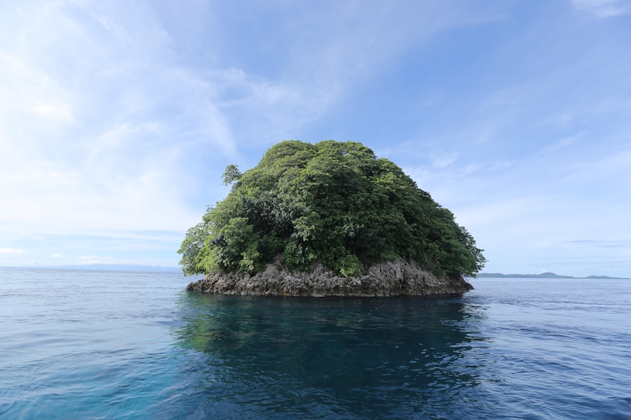 Photo The Flora and Fauna of Heard Island and McDonald Islands