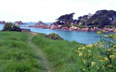 Exploring the Flora and Fauna of Jersey
