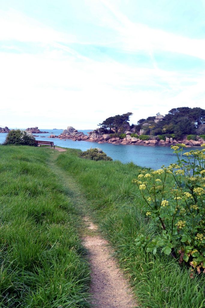 Photo The Flora and Fauna of Jersey