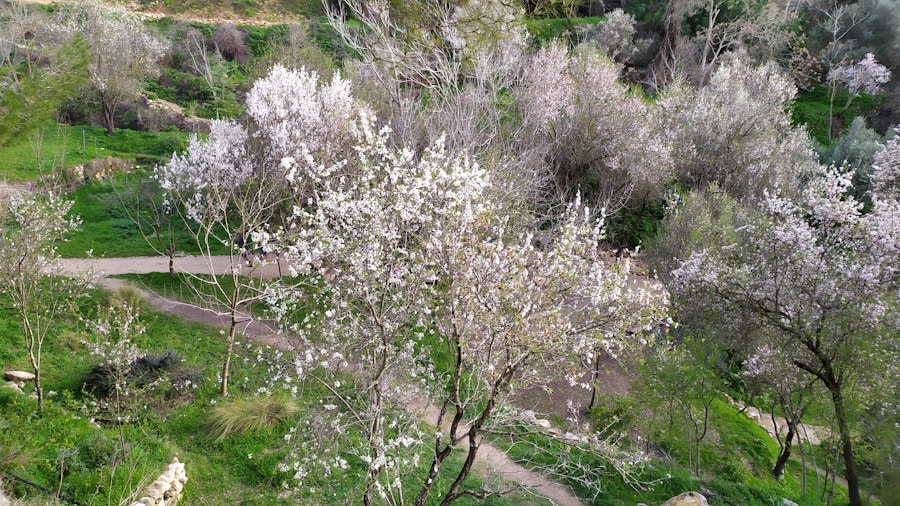 Photo The Flora and Fauna of Syria