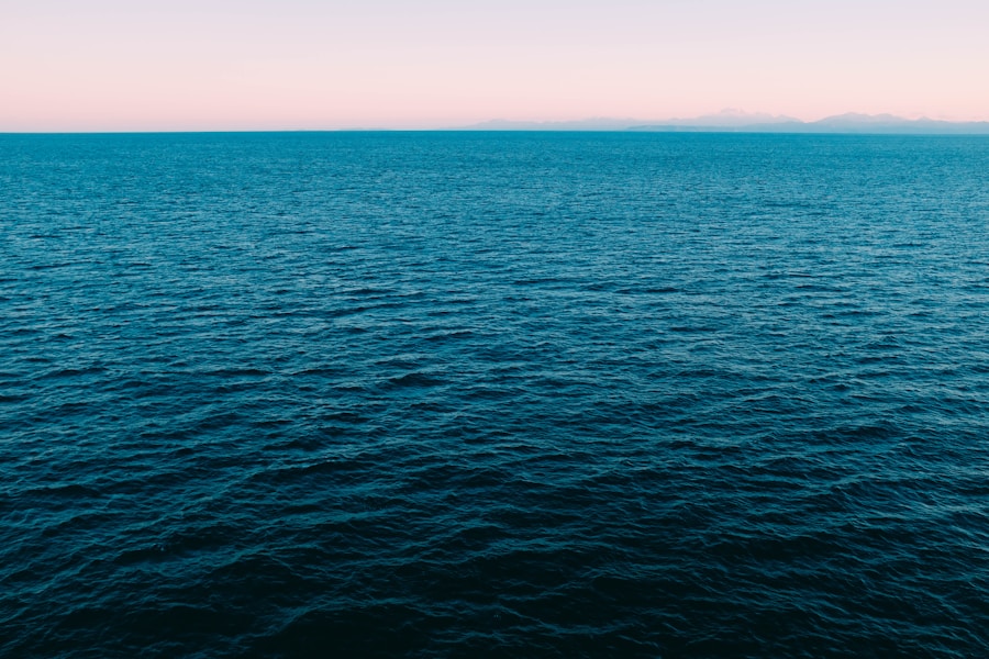 Photo Seas Connected to the Pacific Ocean