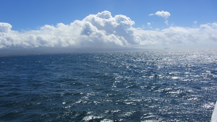 Photo Tasman Sea