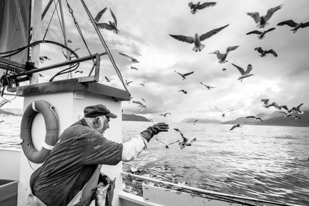Photo Fishing boats