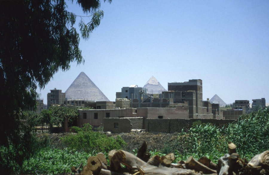 Photo The Flora and Fauna of Egypt