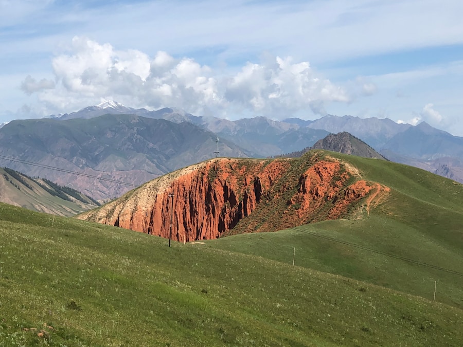 Photo The Flora and Fauna of Kyrgyzstan