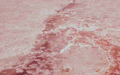 Dead Sea