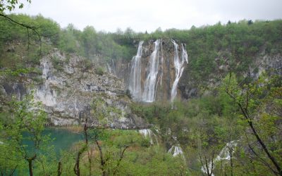 Exploring the Rich Flora and Fauna of Bosnia and Herzegovina
