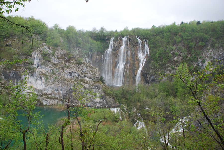 Photo The Flora and Fauna of Bosnia and Herzegovina