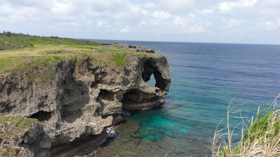 Photo The Flora and Fauna of Niue