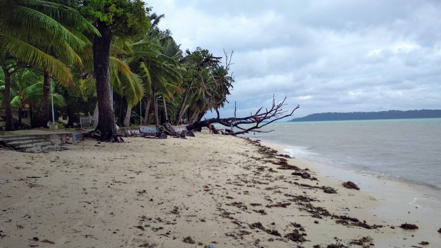 Photo The Flora and Fauna of Cocos (Keeling) Islands