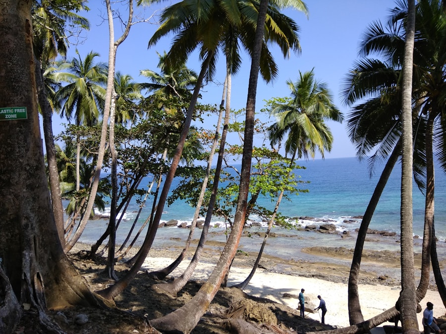 Photo The Flora and Fauna of Comoros
