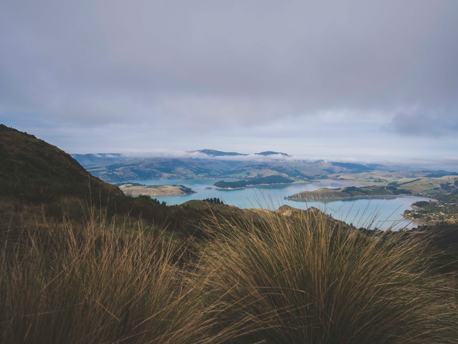 Photo The Flora and Fauna of New Zealand
