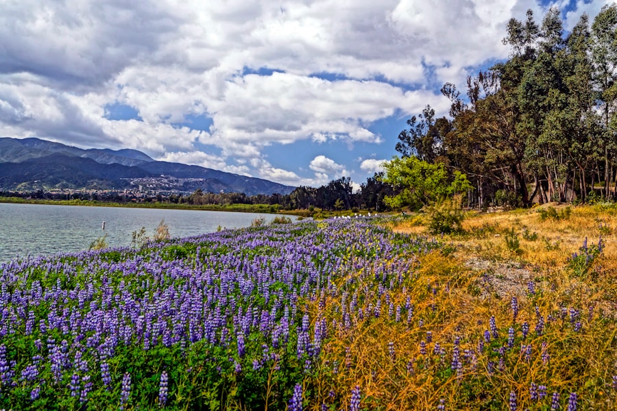 Photo The Flora and Fauna of Chile