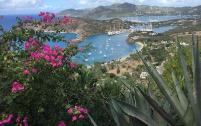 Exploring the Flora and Fauna of Saint Barthélemy
