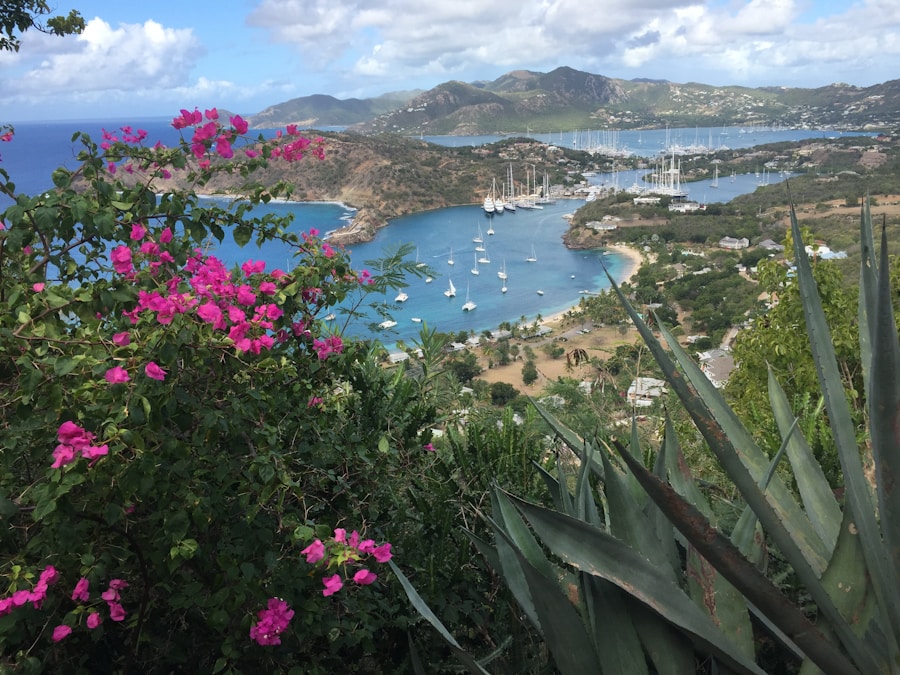 Photo The Flora and Fauna of Saint Barthélemy