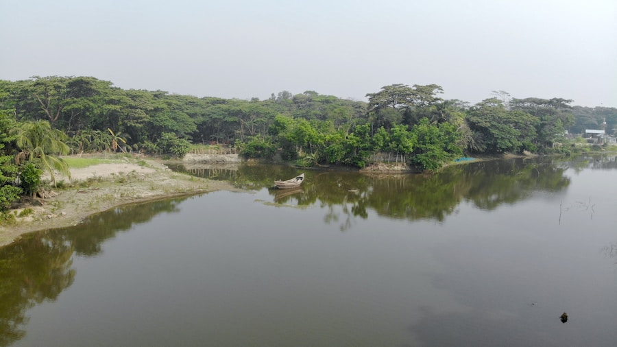Photo The Flora and Fauna of Côte dIvoire