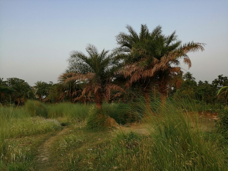 Photo The Flora and Fauna of Pakistan