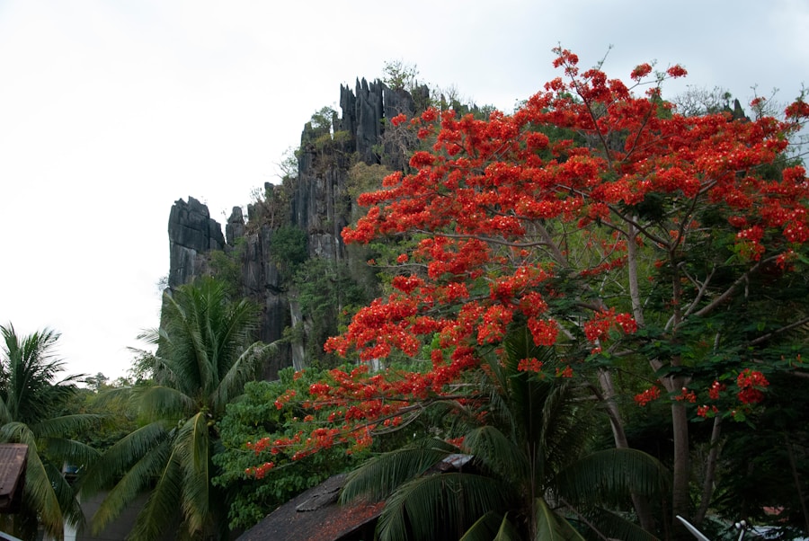 Photo The Flora and Fauna of Fiji