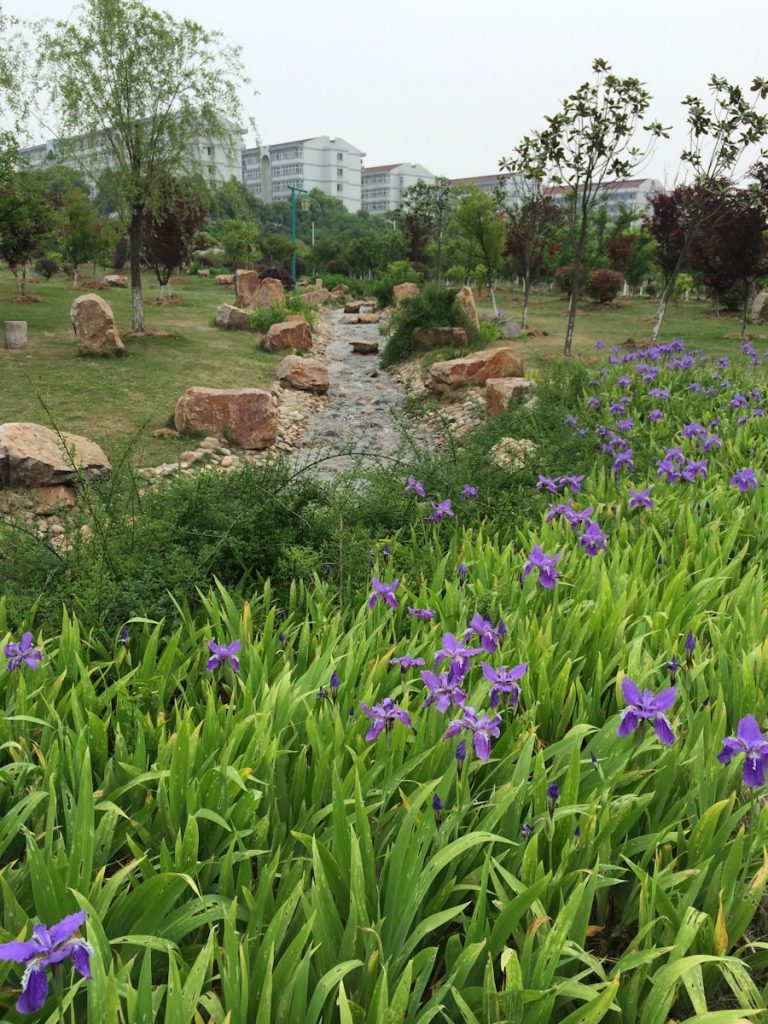 Photo The Flora and Fauna of South Korea