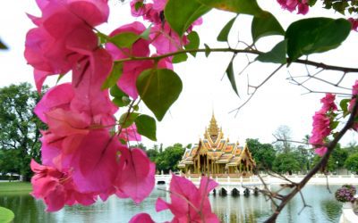 Exploring Thailand’s Rich Flora and Fauna