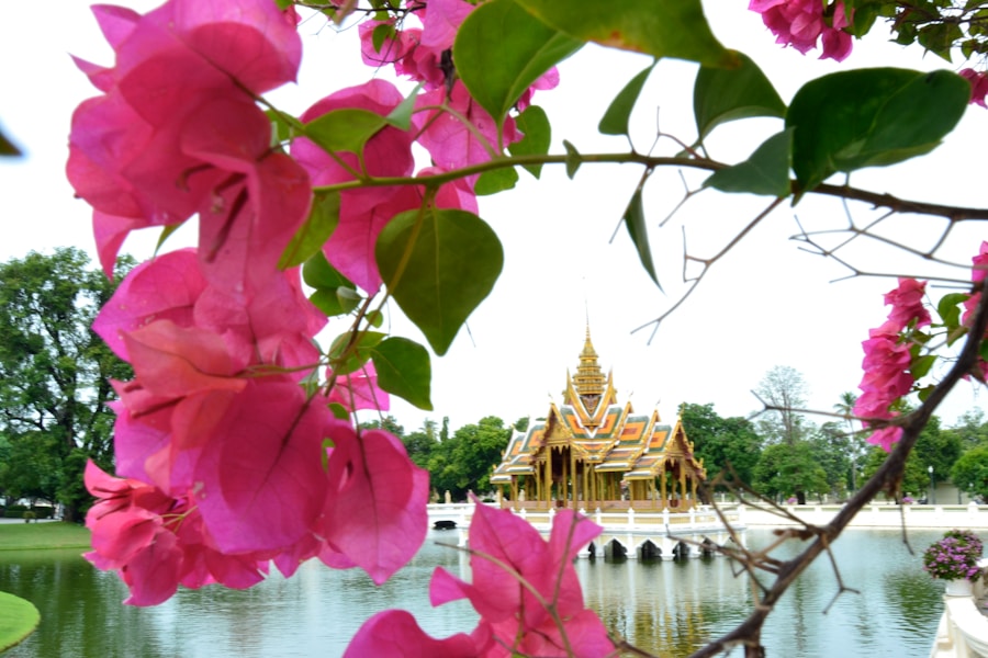 Photo The Flora and Fauna of Thailand