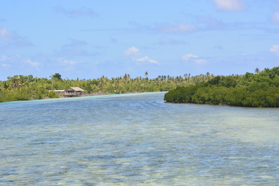 Photo The Flora and Fauna of Cook Islands