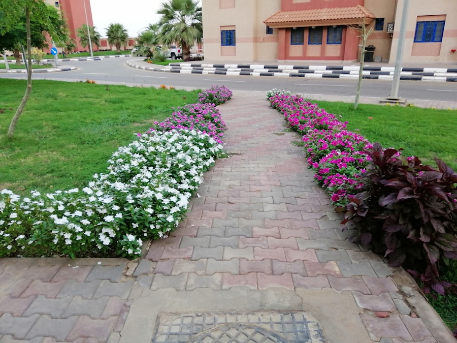 Photo The Flora and Fauna of Kuwait