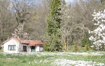 Exploring the Flora and Fauna of France