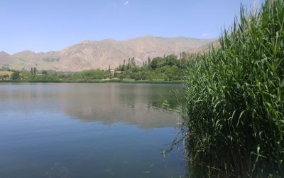 Exploring the Flora and Fauna of Tajikistan