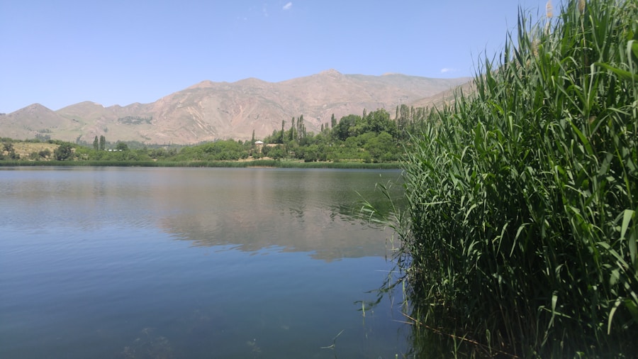 Photo The Flora and Fauna of Tajikistan