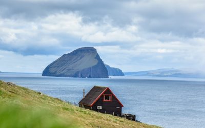 Exploring the Flora and Fauna of Faroe Islands