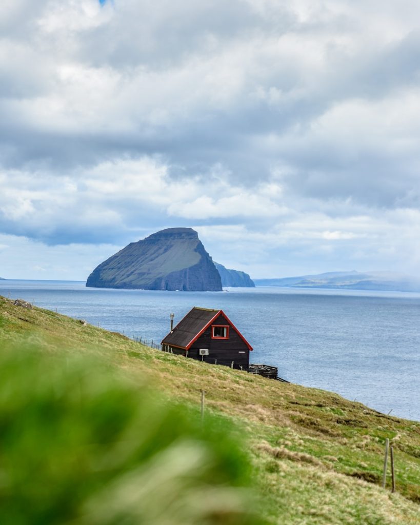 Photo The Flora and Fauna of Faroe Islands