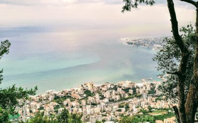 Exploring Lebanon’s Rich Flora and Fauna