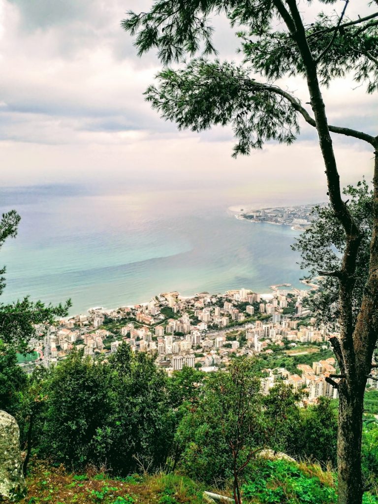 Photo The Flora and Fauna of Lebanon