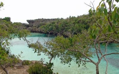 Exploring the Wildlife of Tokelau