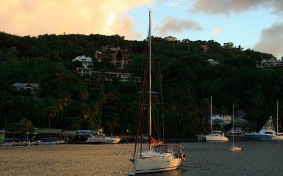 Exploring the Flora and Fauna of Saint Lucia
