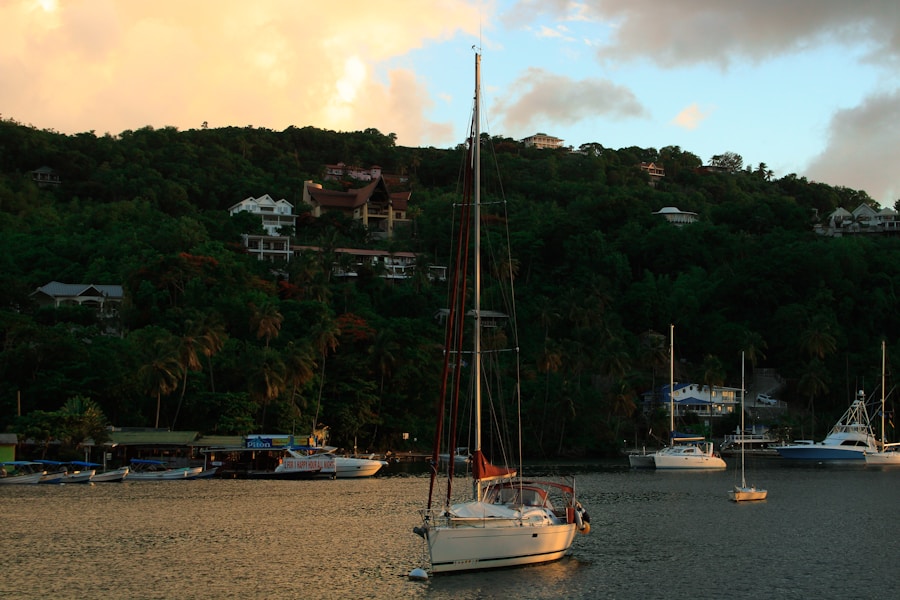 Photo The Flora and Fauna of Saint Lucia