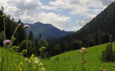 Exploring the Flora and Fauna of Liechtenstein