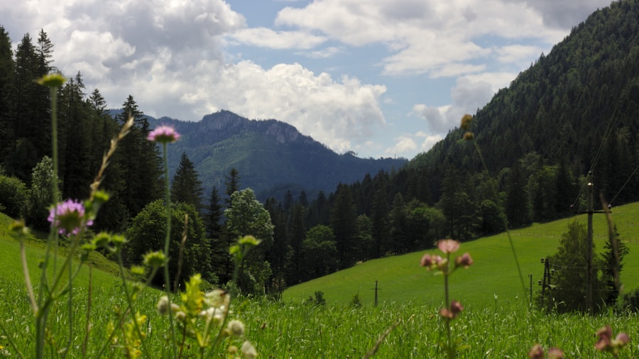 Photo The Flora and Fauna of Liechtenstein