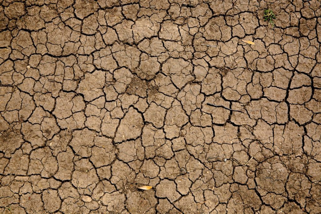 Photo Climate Change