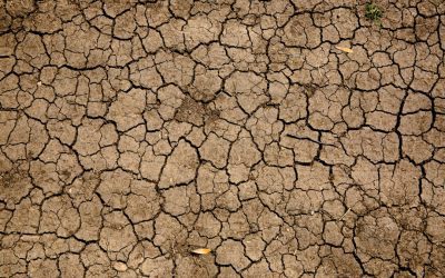 What Is Climate Change? Causes, Effects, and Global Impact Explained