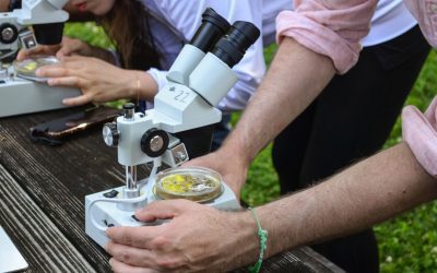 The Future of Climate Science: Breakthroughs That Could Change Everything