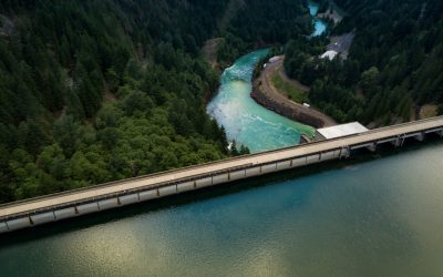 Net Zero Explained: What It Means and Why It Matters for the Planet