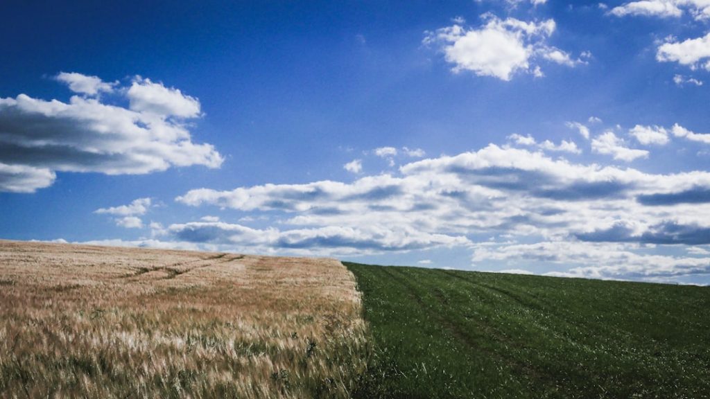 Photo Climate Change and Food Supply