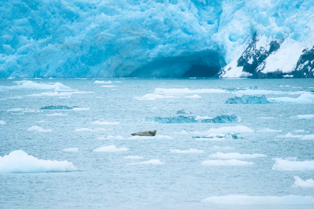 Photo Climate Change Reports