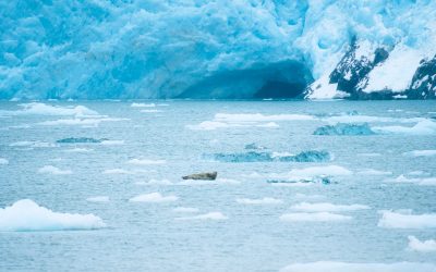 The Most Important Climate Change Reports You Need to Know About