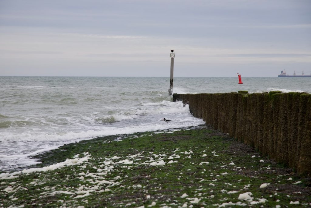 Photo Sea Level Rising