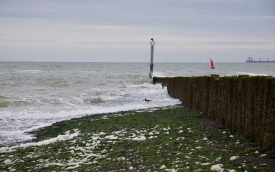 How Fast Is Sea Level Rising? New Data Scientists Are Warning About