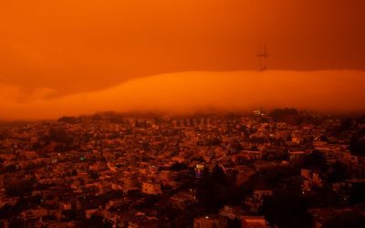The Science Behind Global Warming: How Human Activity Is Changing the Planet